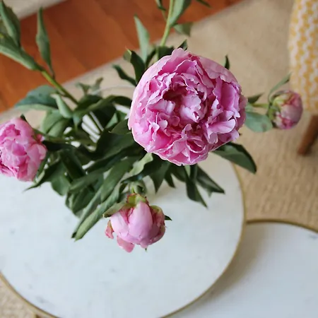 Hotel Des Eaux Aix-les-Bains