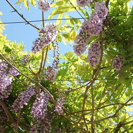 Des Eaux 3* Aix-les-Bains