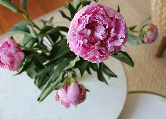 Szálloda Des Eaux Aix-les-Bains