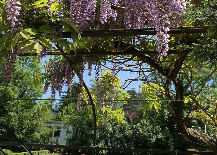 Szálloda Des Eaux Aix-les-Bains