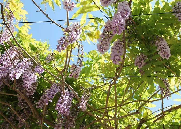 Des Eaux 3* Aix-les-Bains