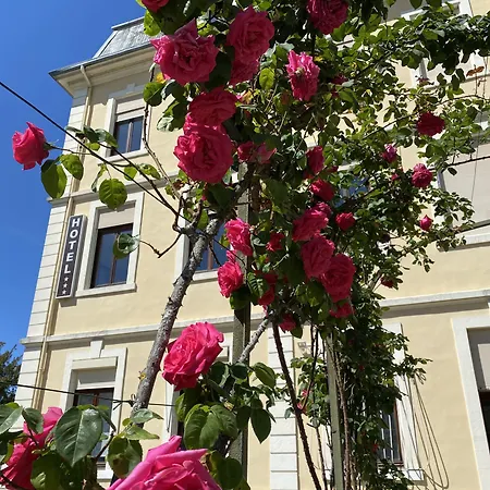 Des Eaux Hotel Aix-les-Bains